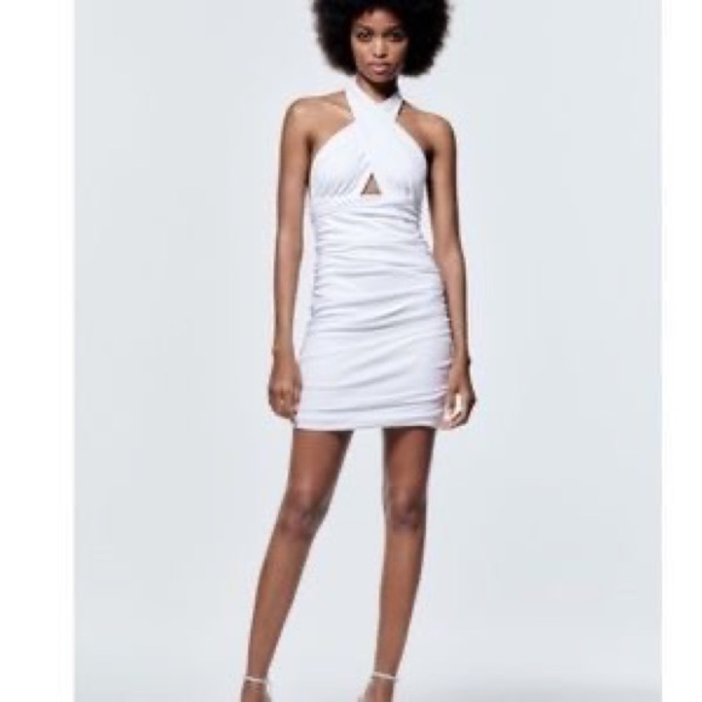 NWT Zara Dress